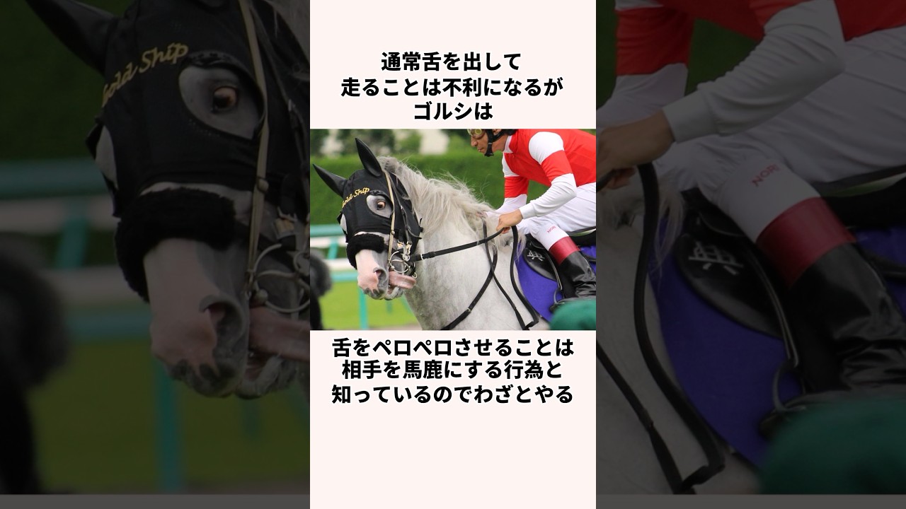 「お願いします走ってください」ゴールドシップについての雑学