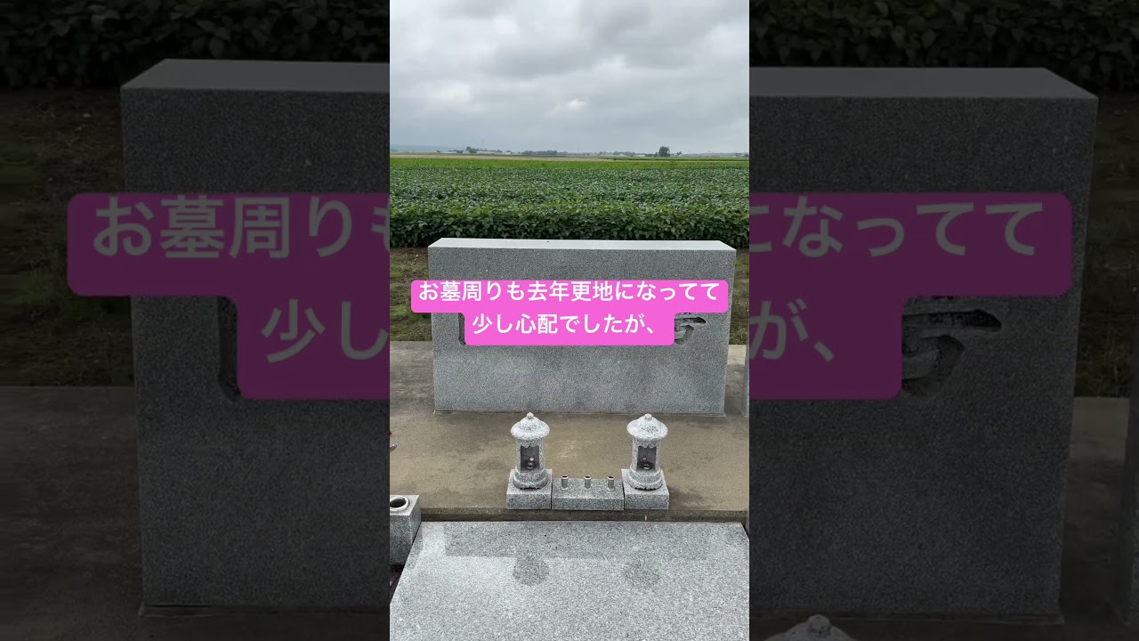 トウメイ号のお墓参り2025 #トウメイ #幕別牧場 #2025 #shorts