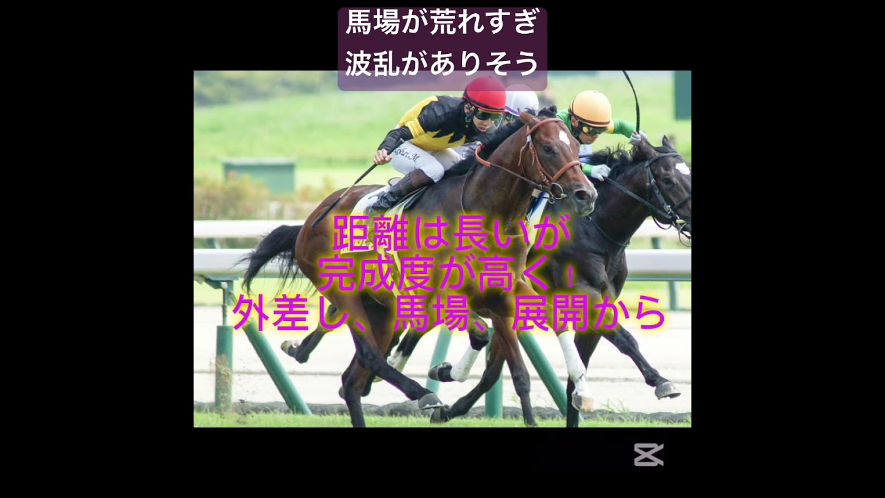 朝日杯フューチュリティステークス！外差しの決め手ある馬から狙っていく