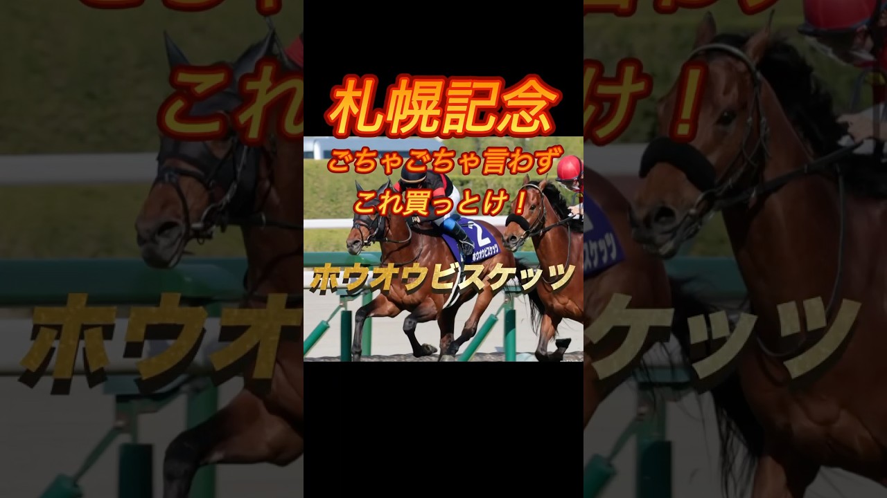 札幌記念　ごちゃごちゃ言わずこれ買っとけ！ホウオウビスケッツ