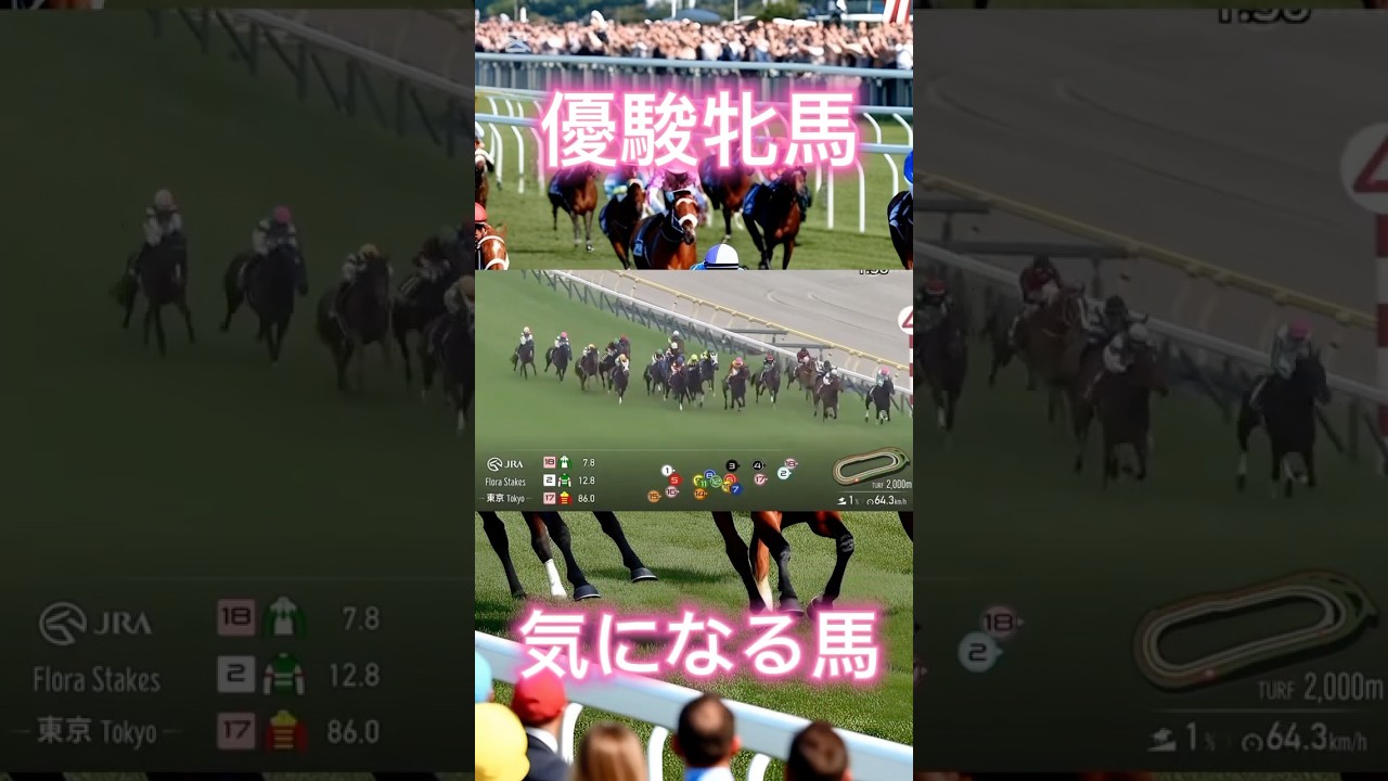 【オークス】穴馬として気になる馬 競馬 #オークス #優駿牝馬 #shorts #shortvideo