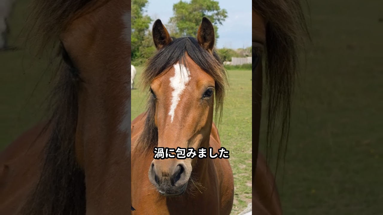 グラスワンダー有馬記念伝説