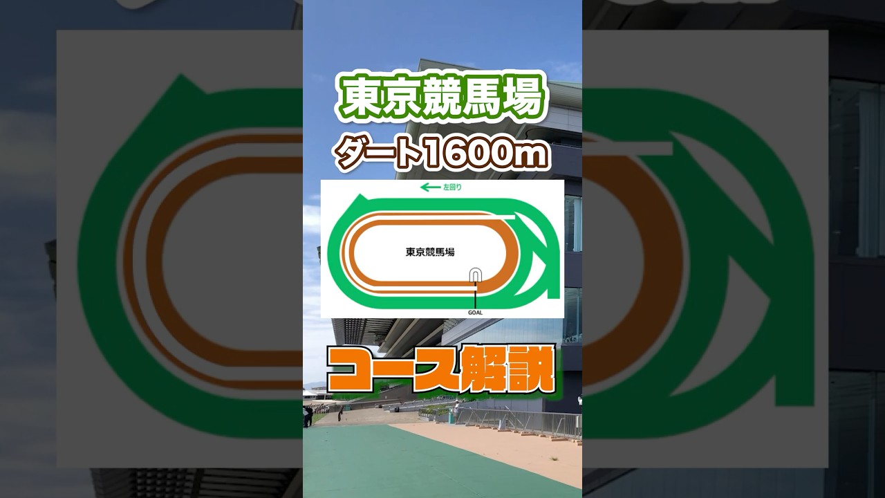 【フェブラリーステークス（GⅠ）東京競馬場ダート1600m 特徴と傾向】 #競馬 #フェブラリーステークス #解説 #競馬予想 #Shorts
