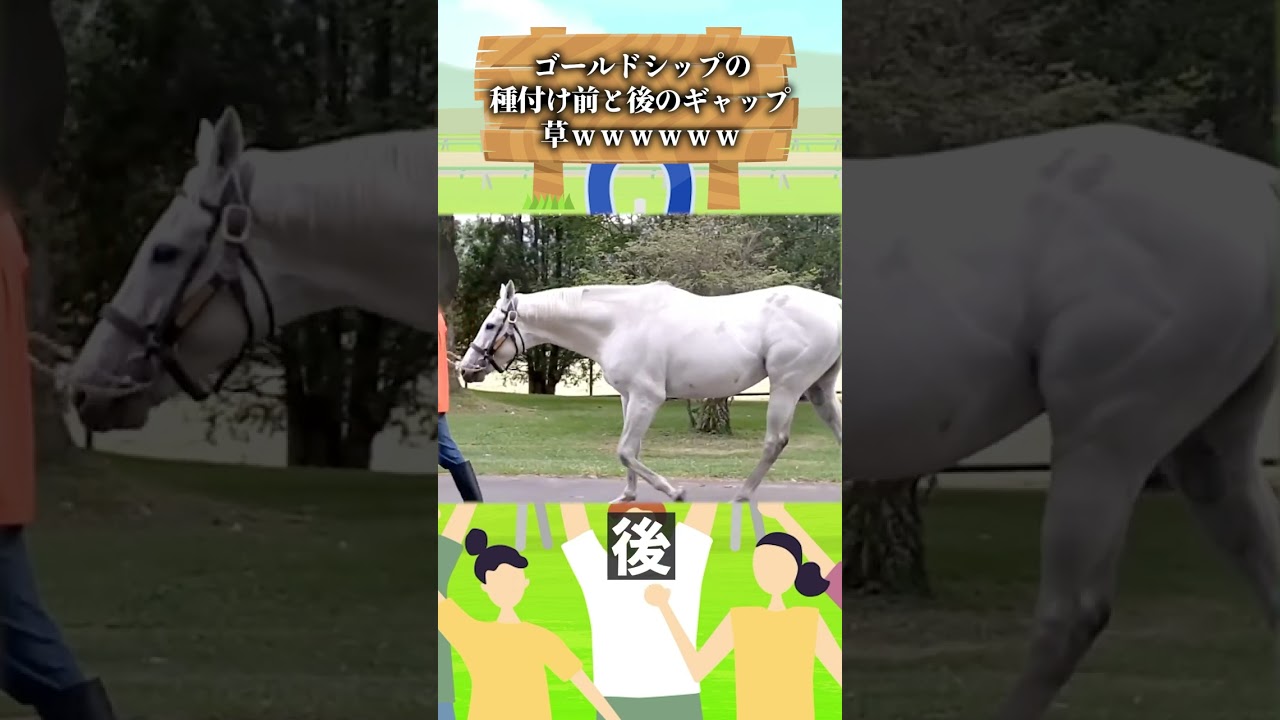 ゴールドシップの種付けと前と後のギャップすごすぎワロタｗｗｗｗｗ#ゴールドシップ #暴れ馬 #種付け #競馬