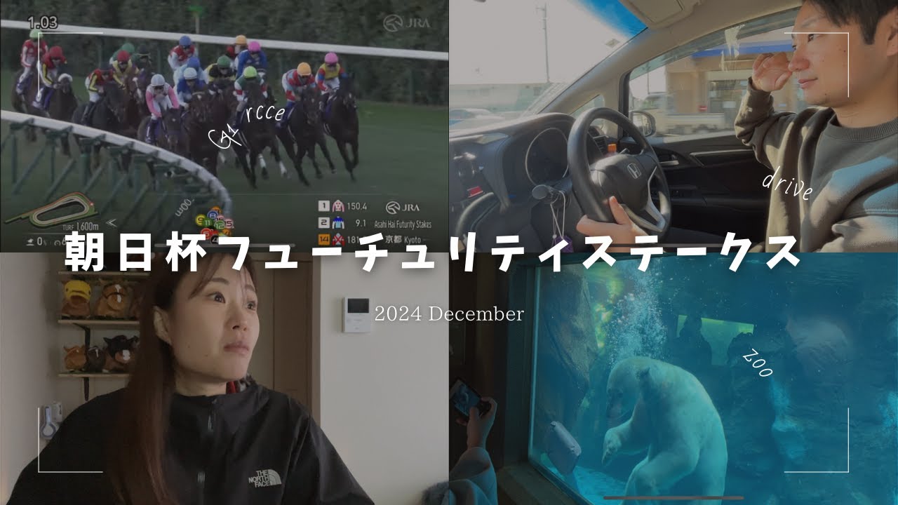 【日常と競馬】朝日杯フューチュリティステークスの1週間Vlog【競馬主婦／競馬夫婦】