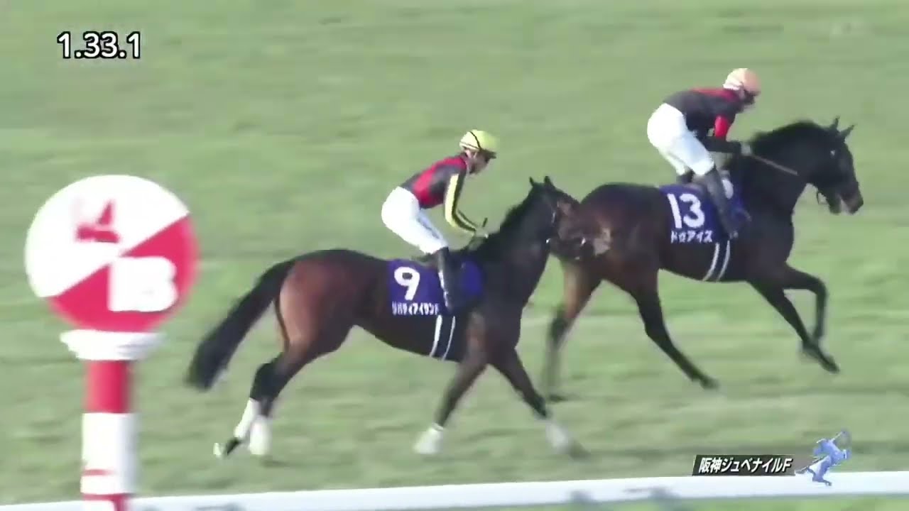 2022年 第74回 阪神ジュベナイルフィリーズ(G1)(リバティアイランド、川田 将雅)
