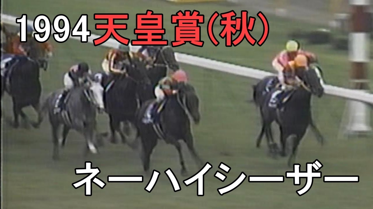 ネーハイシーザー 1994年(平成6年)第110回天皇賞(秋)(G1)