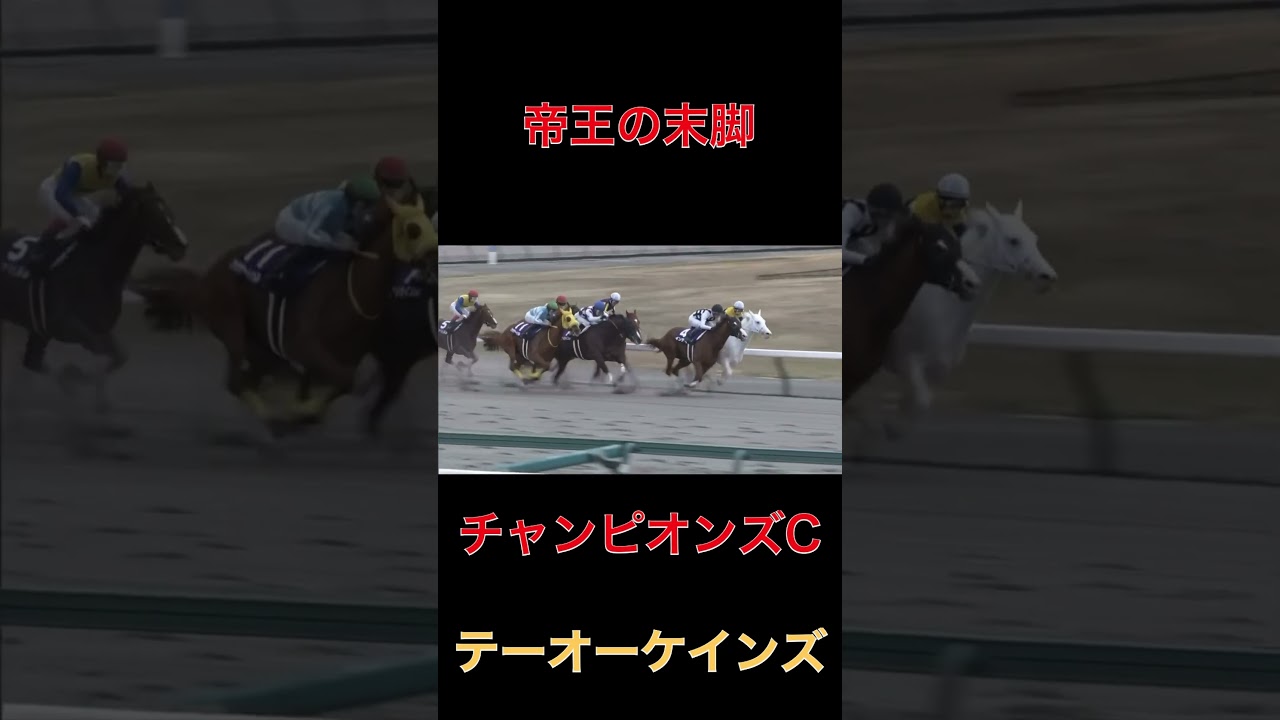 帝王の末脚テーオーケインズ【チャンピオンズC】#競馬#チャンピオンズカップ