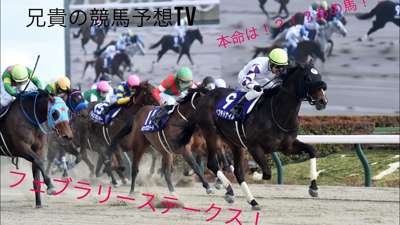 フェブラリーステークス2025！！競馬予想！