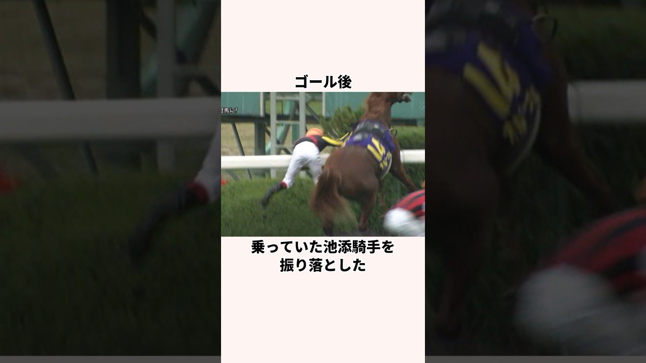 「呪われた血」オルフェーヴルについての雑学
