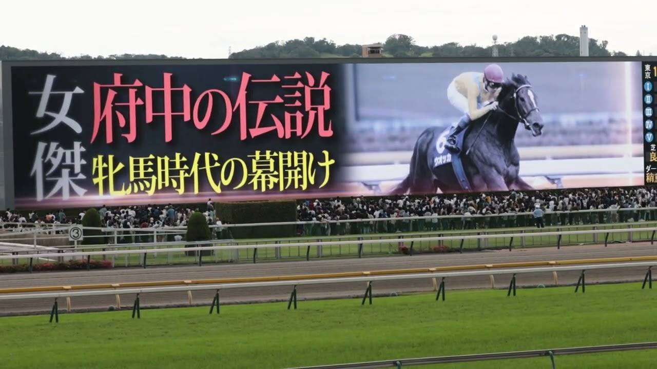 2025年 東京優駿 日本ダービー ファンファーレ