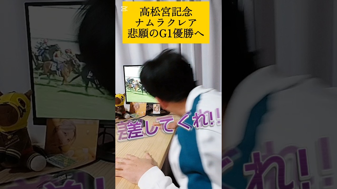 【高松宮記念2025実践】涙の女王ナムラクレアここにあり #競馬 #shorts