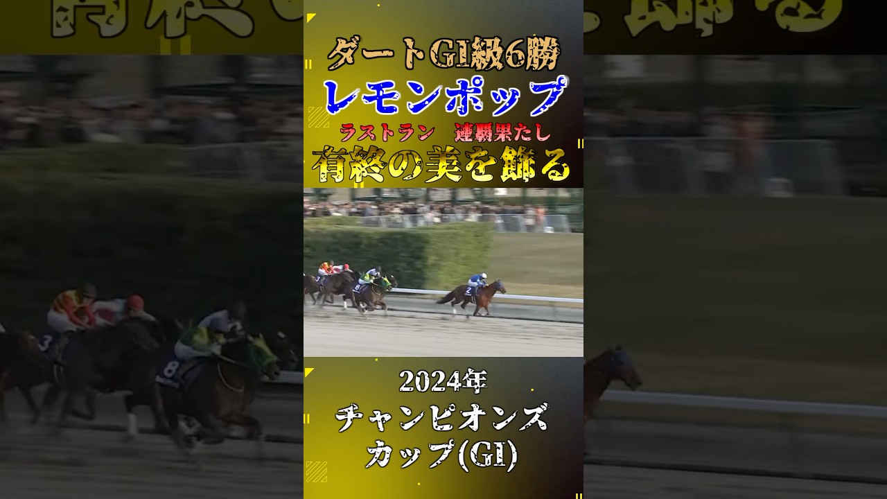 レモンポップ【2024年チャンピオンズカップ(GI)】#競馬#shorts #チャンピオンズカップ #レモンポップ