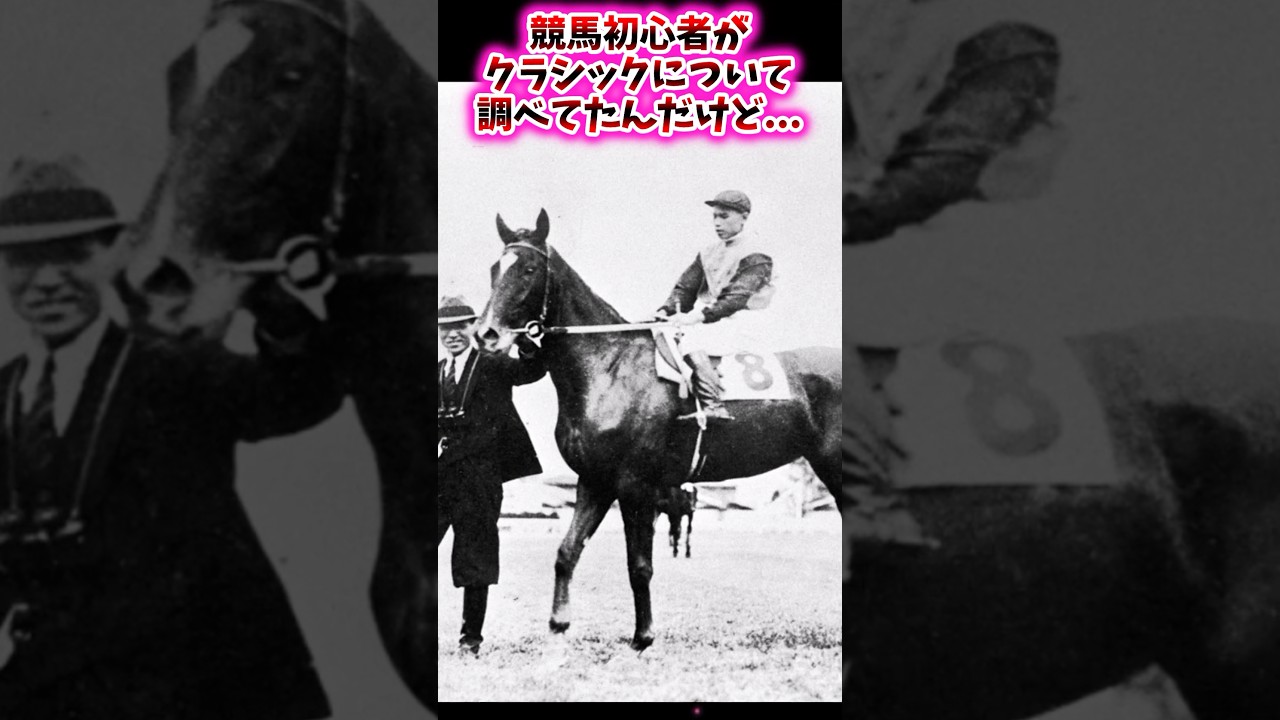 競馬初心者がクラシックについて調べてたんだけど…【競馬反応集】 #菊花賞 #秋華賞 #エリザベス女王杯 #メロディーレーン