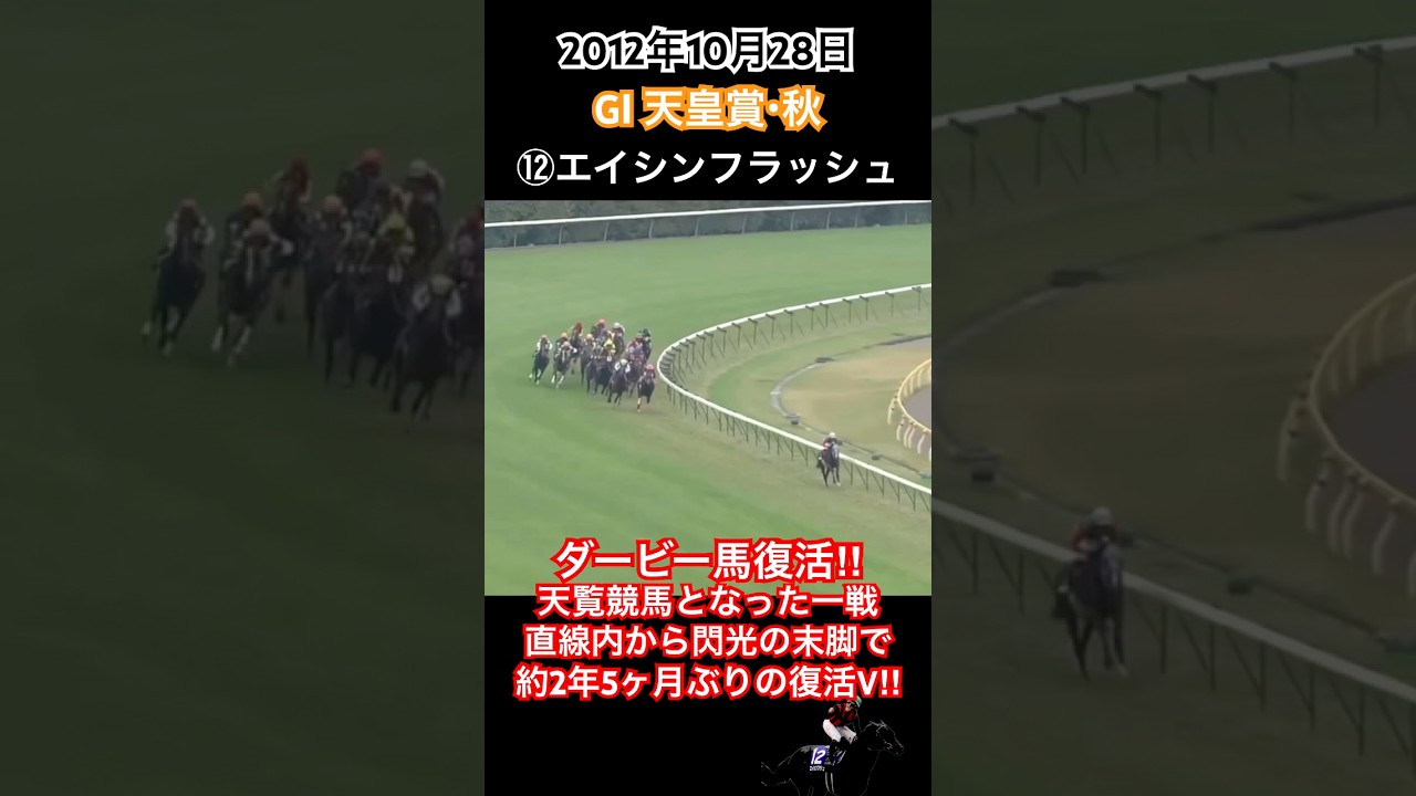天皇賞秋2012 ダービー馬エイシンフラッシュ復活‼︎天覧競馬となった一戦 直線内から閃光の末脚で約2年5ヶ月ぶりの復活V‼︎#競馬 #エイシンフラッシュ#デムーロ #天皇賞秋2012#shorts