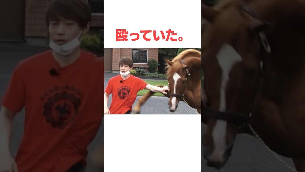 オルフェーヴルの面白い雑学#競馬