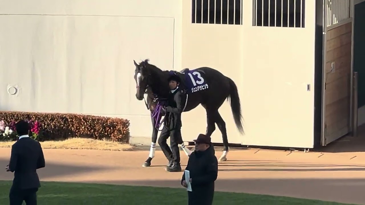 【ホープフルS 2024】パドック