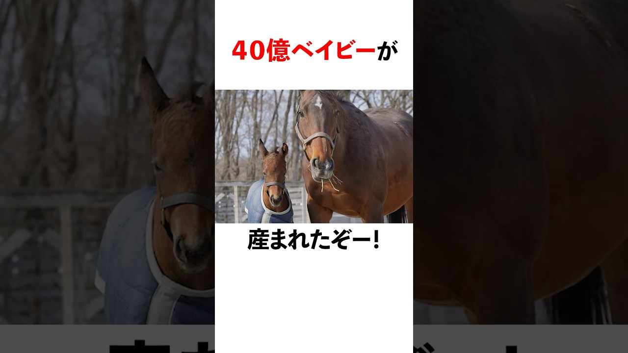 アーモンドアイ×イクイノックスの子供が可愛いすぎる！！！