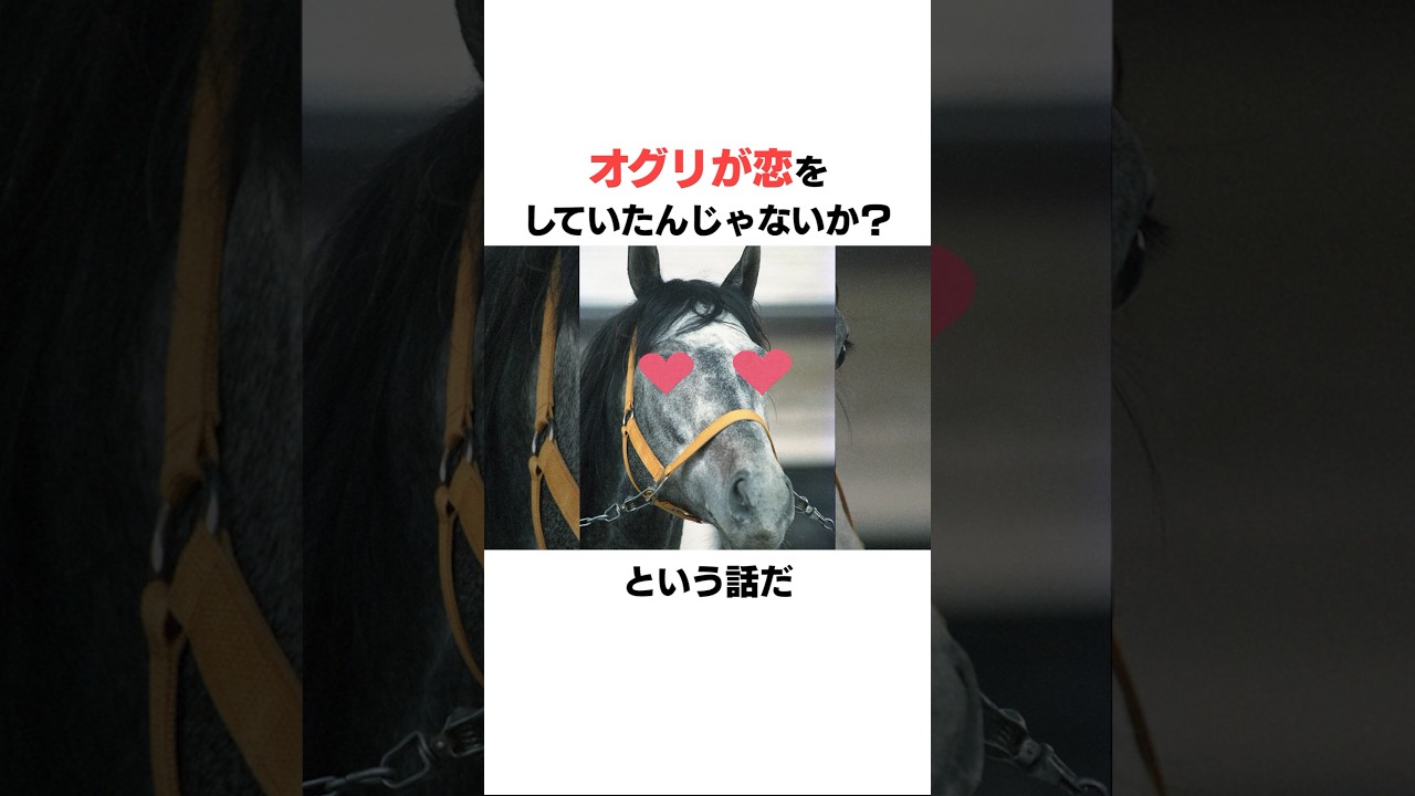 オグリキャップの面白い雑学2 #競馬