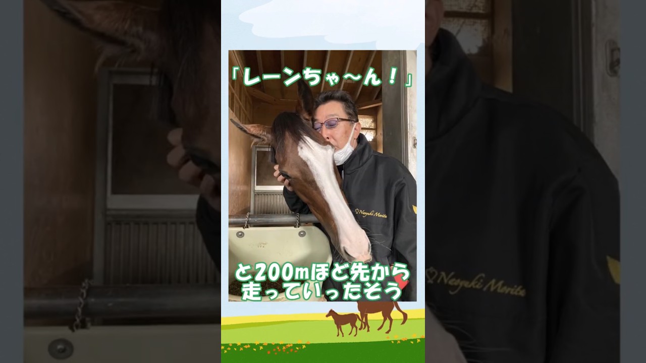 ★6万回突破★【メロディーレーン】 小さな頑張り屋さん完璧なアイドル様♡ #shorts #メロディーレーン #オルフェーヴル #オルフェーヴル産駒 #森田調教師 #タイトルホルダー #競馬の反応集