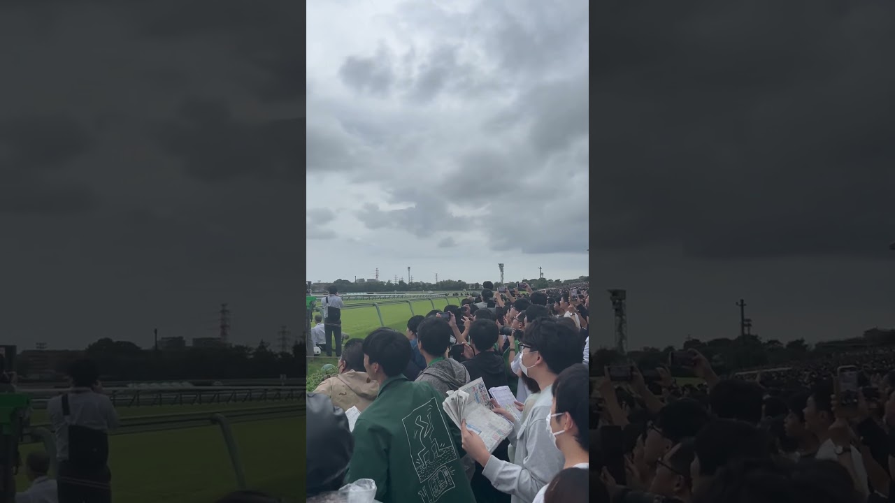 24/09/29 スプリンターズステークス　（勝ち馬　ルガル）