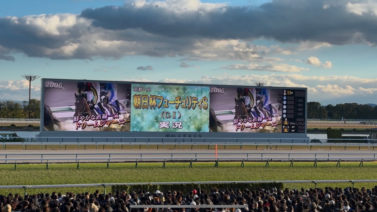 【現地】2024年 朝日杯FS レース前映像〜ファンファーレ アルマヴェローチェ