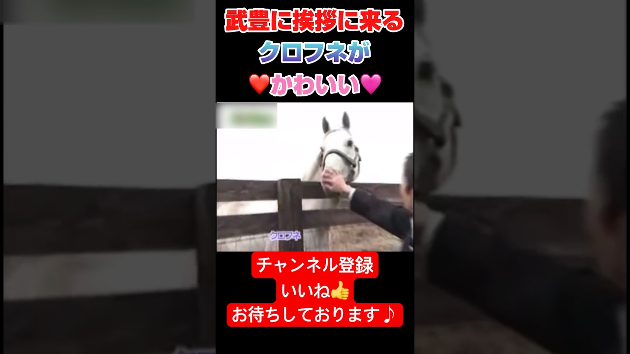 ✨祝100万再生✨【クロフネ】引退してもなお武豊に挨拶に来るのがかわいい🩷#競馬 #武豊 #武豊tv #クロフネ#ジャパンカップダート#shorts