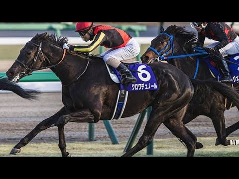 「三冠牝馬アパパネの子アマキヒ、菊花賞へ衝撃直行！国枝調教師が明かす“秘策”と運命の挑戦」