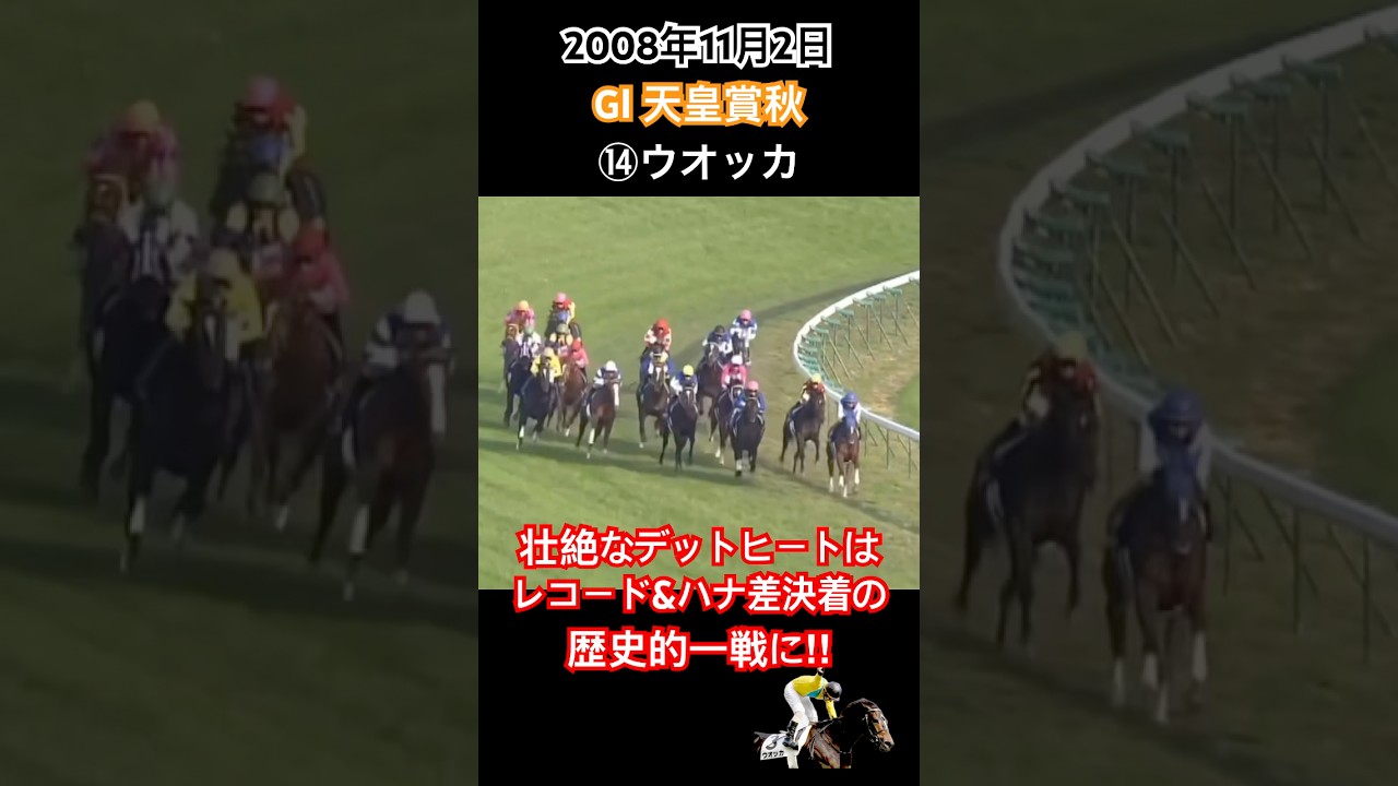 天皇賞秋2008 ウオッカ&ダイワスカーレットのライバル対決はレコード&ハナ差決着の歴史的一戦に‼︎ #競馬 #ウオッカ #ダイワスカーレット #武豊 #shorts