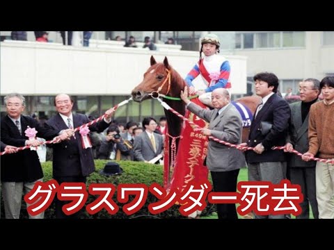 98＆99年有馬記念制覇！伝説の名馬グラスワンダー死す｜スクリーンヒーローの父・モーリスの祖父