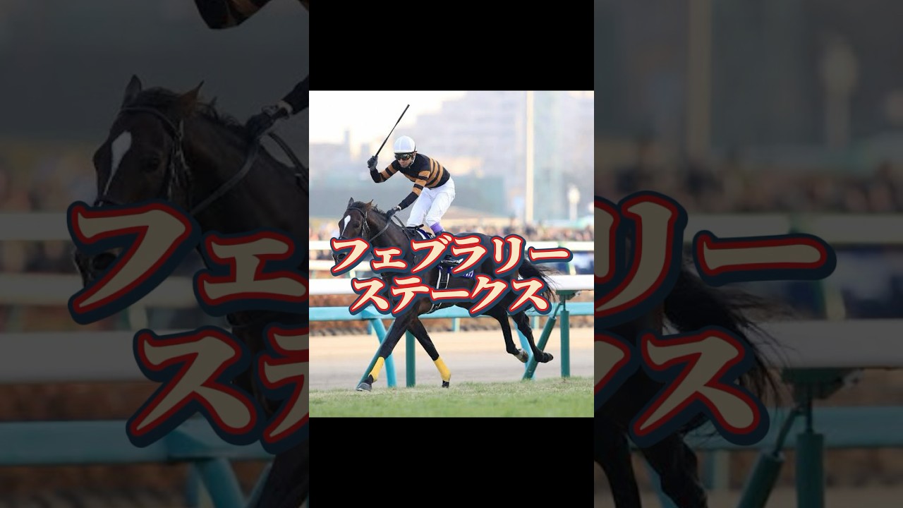 【競馬】G1チャレンジフェブラリーステークス編　　　　　　　　　　　　　　　#競馬　#フェブラリーステークス  #G1