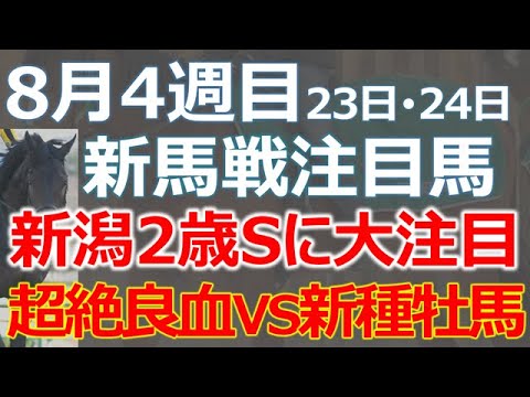 【注目２歳馬】皐月賞馬妹vs新種牡馬ポエティックフレア産駒の勝負！「フェスティバルヒル」vs「リアライズシリウス」が新潟２歳ステークスを盛り上げる☆
