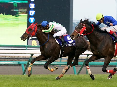 2018 中山大障害 JG1 二ホンピロバロン
