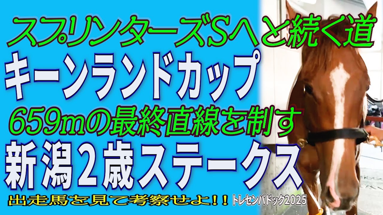 スプリンターズSへ続く道《キーンランドカップ》直線は日本最長平坦659m《新潟2歳ステークス》出走馬を見て勝馬を考察せよ！！【トレセンパドック2025】