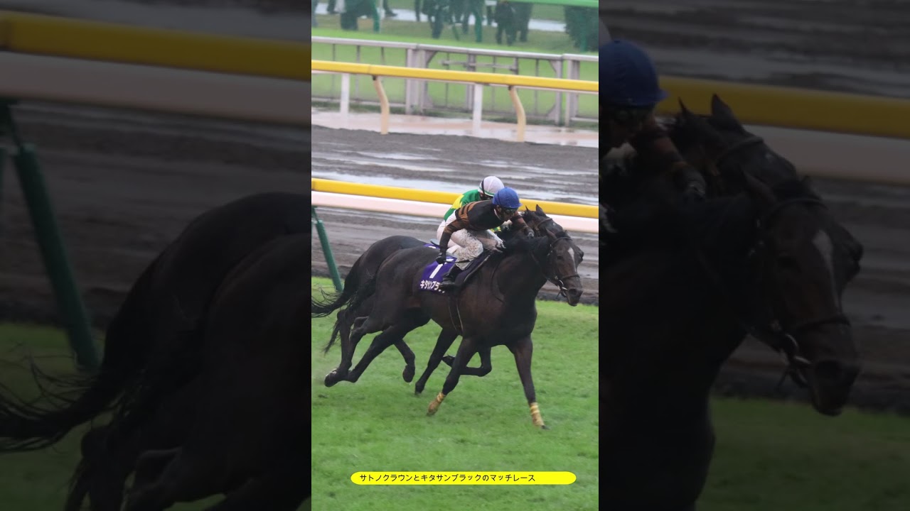 2017年天皇賞秋。大雨の中レースを写真で振り返り