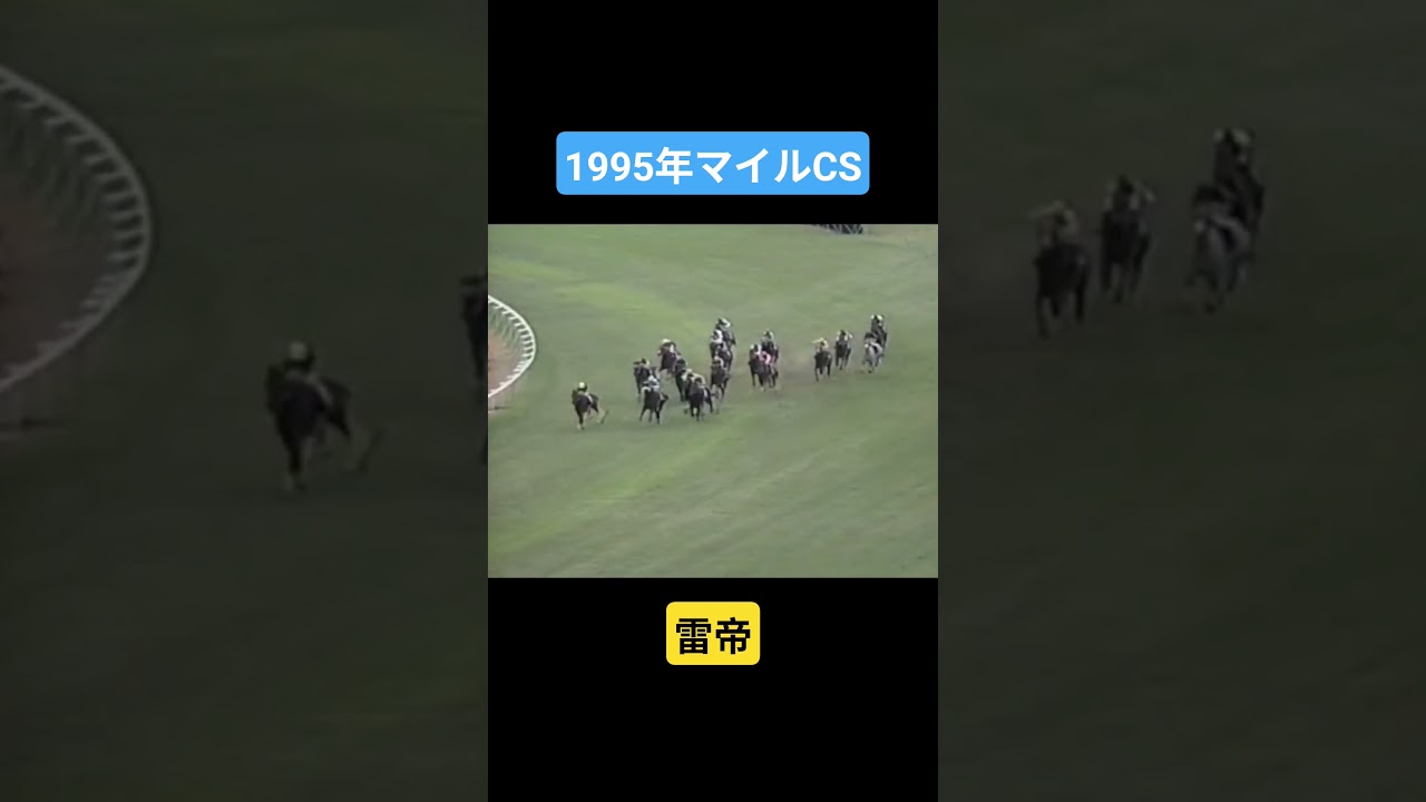 【1995年マイルCS】稲妻一閃…地方から出て一気にマイル王に #競馬 #トロットサンダー#マイルチャンピオンシップ#shorts