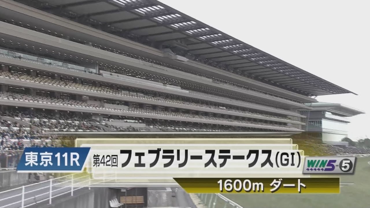 【競馬】2025 第42回 フェブラリーステークス　本馬場入場