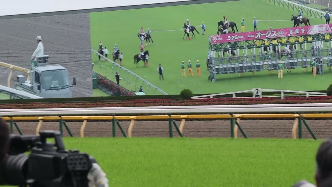 【現地】2025年　優駿牝馬(オークス)　ファンファーレ　2025 Japanese Oaks G1