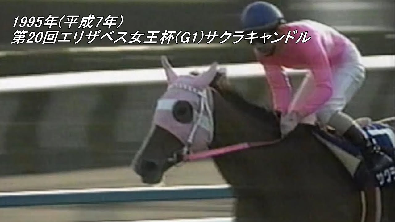 1995年(平成7年)第20回エリザベス女王杯(G1)サクラキャンドル 富士ステークス(OP)フジヤマケンザン