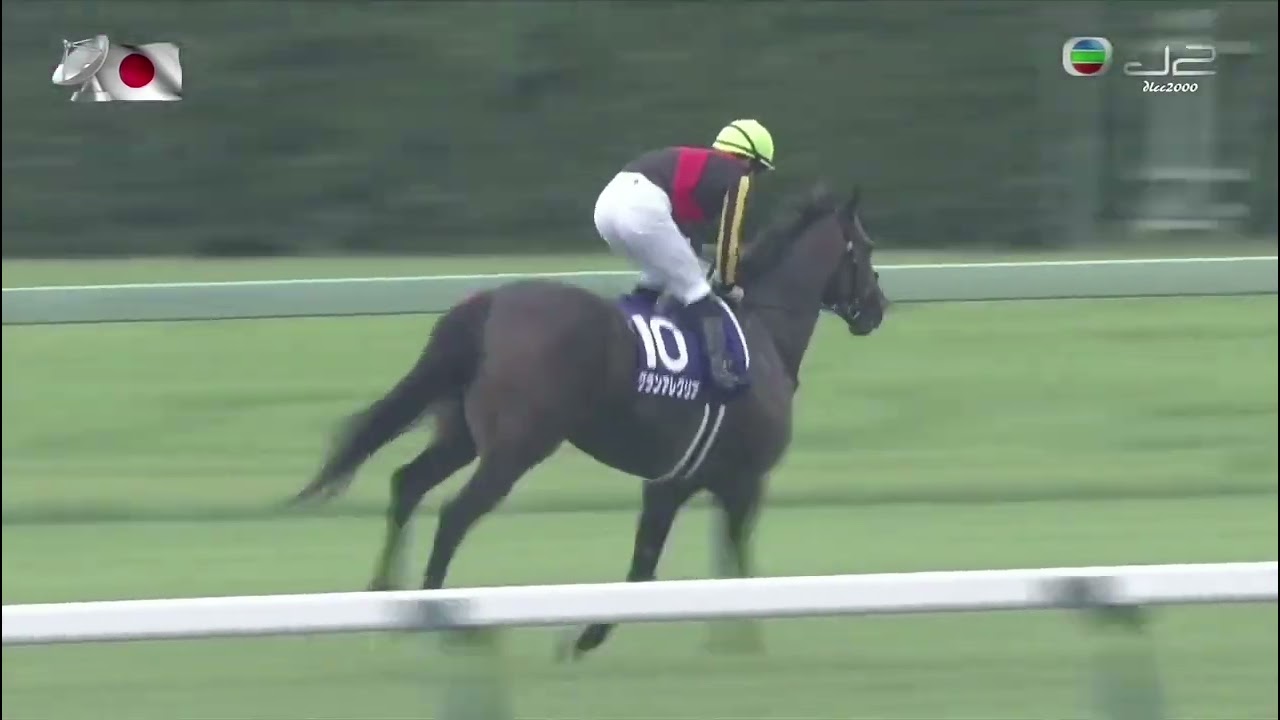 2020年 第54回  スプリンターズステークス(G1)(グランアレグリア、C.ルメール)