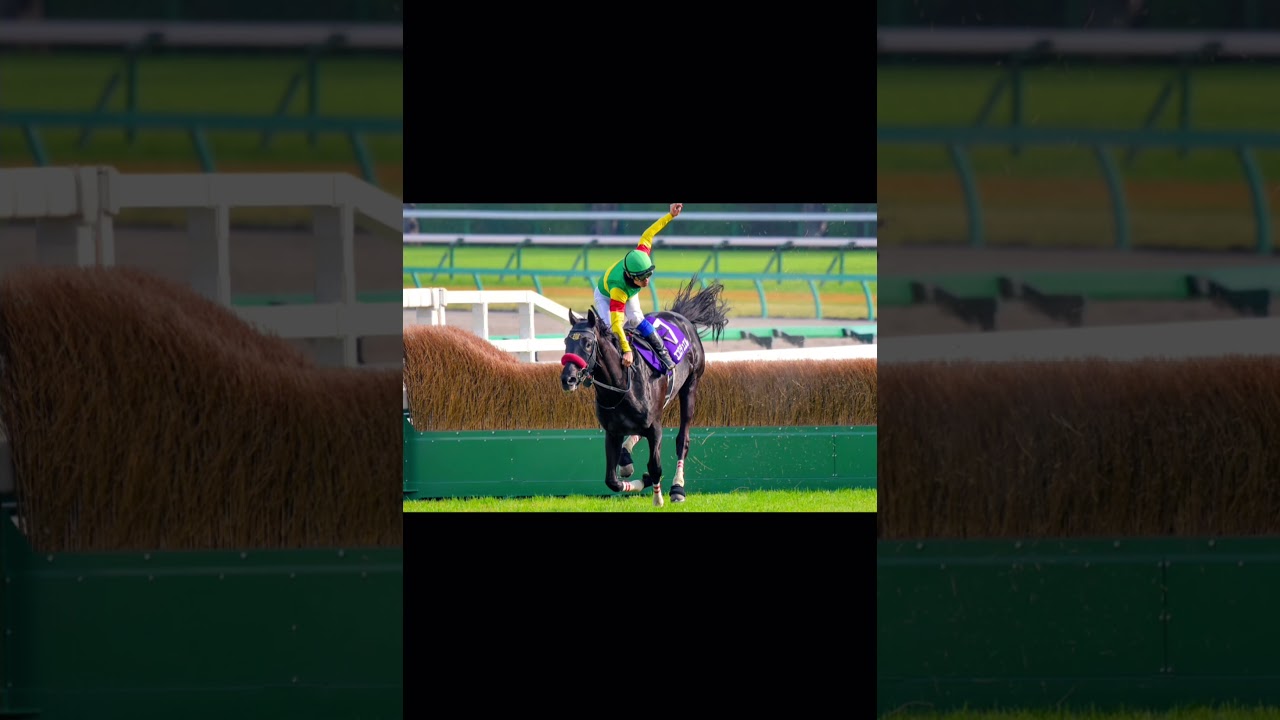 「踏み切ってジャンプ集」中山ＧＪ実況:山本直也編