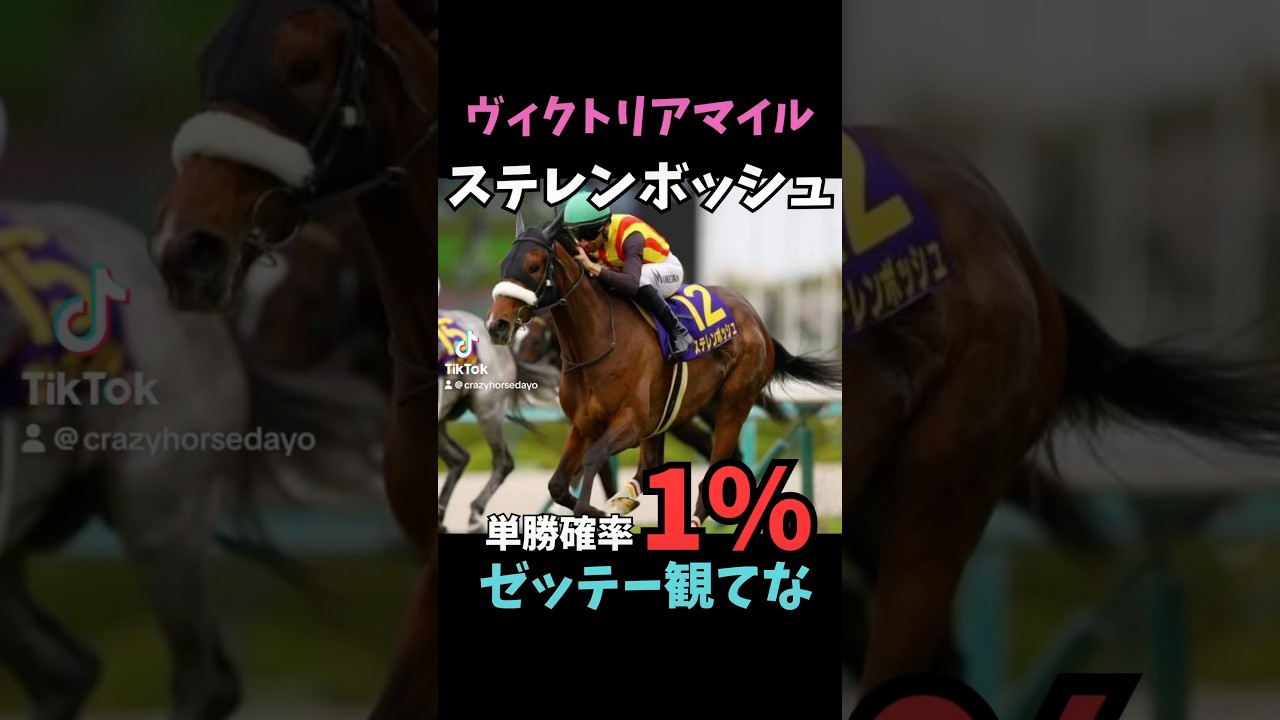 【ヴィクトリアマイル2025】ステレンボッシュ/人気馬解説