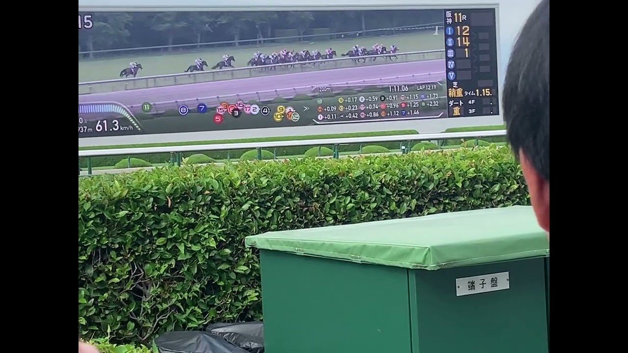 宝塚記念（G1）2025年の阪神競馬場　前から2列目の動画