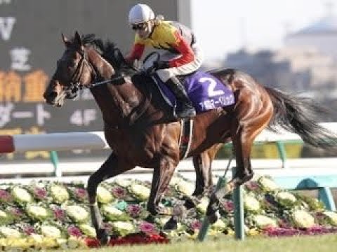 2013 中山大障害 JG1 アポロマーベリック