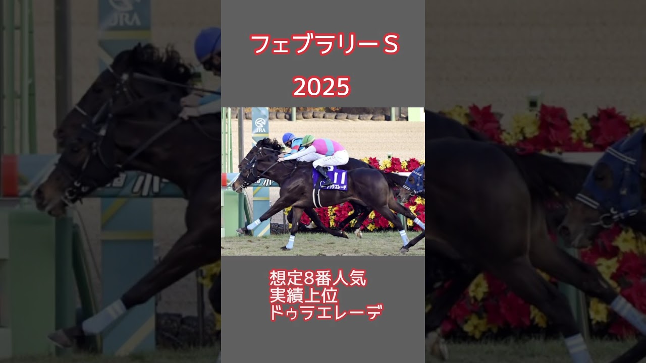 #競馬 #競馬予想 #フェブラリーステークス
