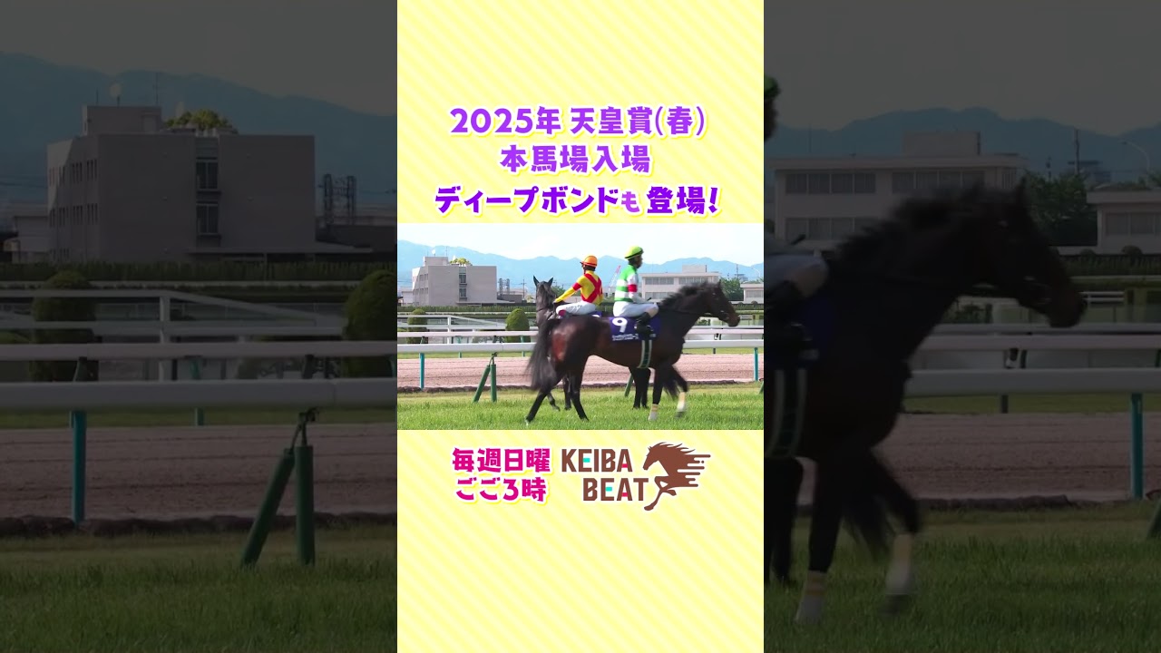 2025年 天皇賞(春) 本馬場入場 後半 #競馬 #天皇賞春 #本馬場入場 #ディープボンド #誘導馬