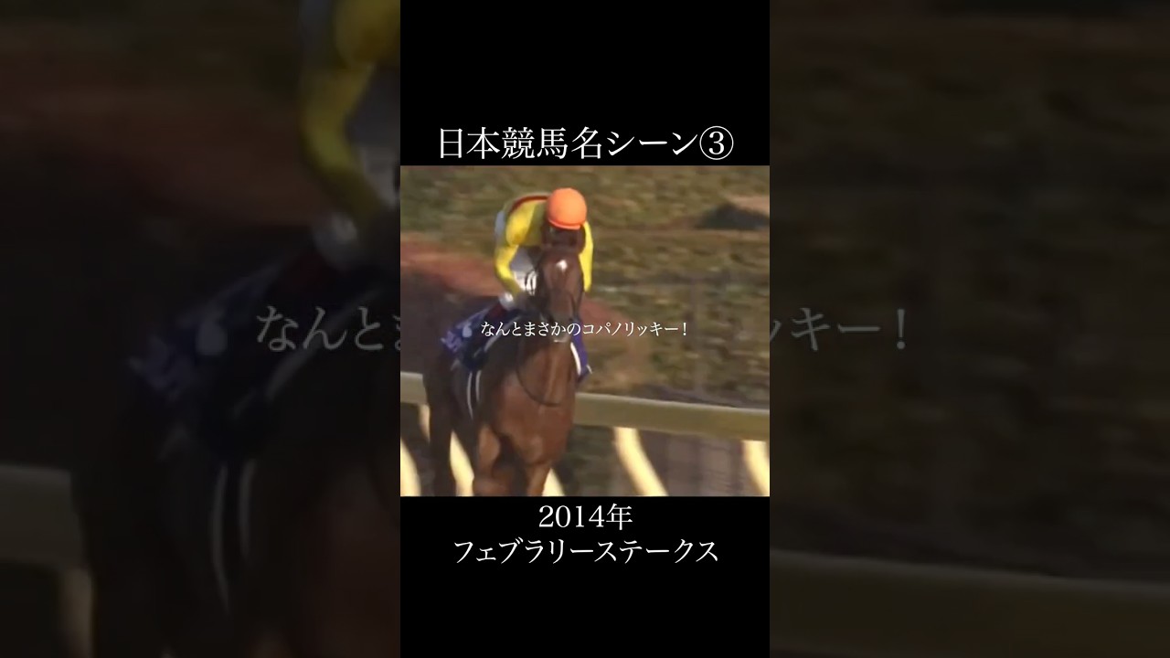 日本競馬名シーン③2014年フェブラリーステークス  #競馬 #horse #名場面 #名シーン #フェブラリーステークス #コパノリッキー