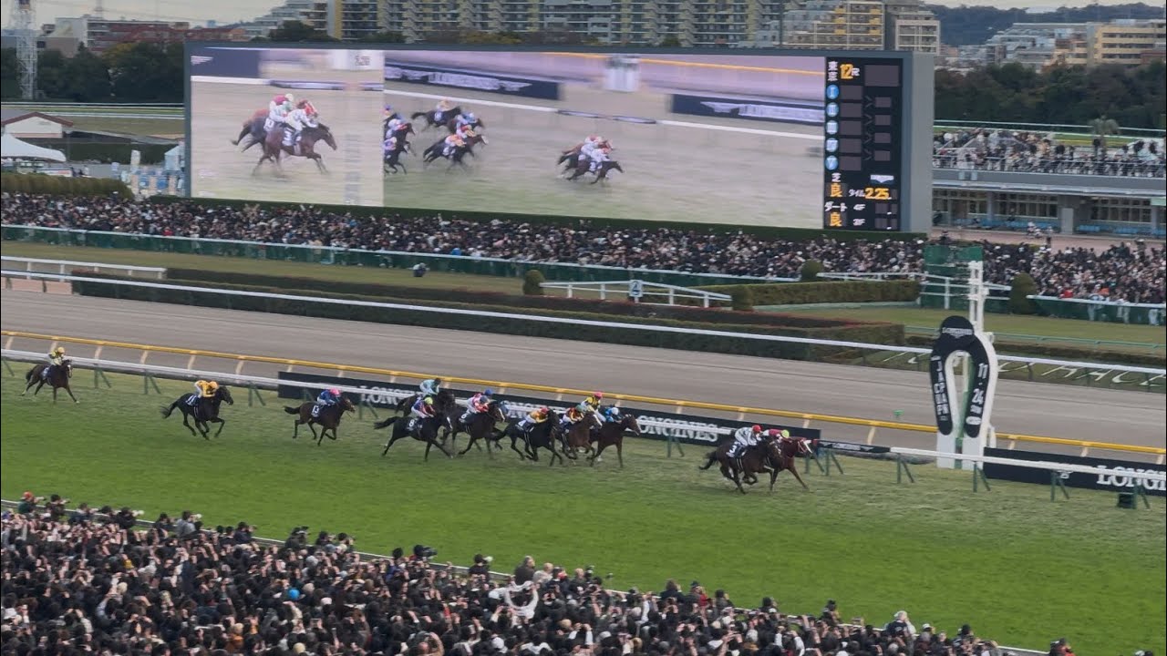 【ジャパンカップ2024】ドウデュース&武豊コンビのラストラン！最後の直線レース映像〜【現地撮影】