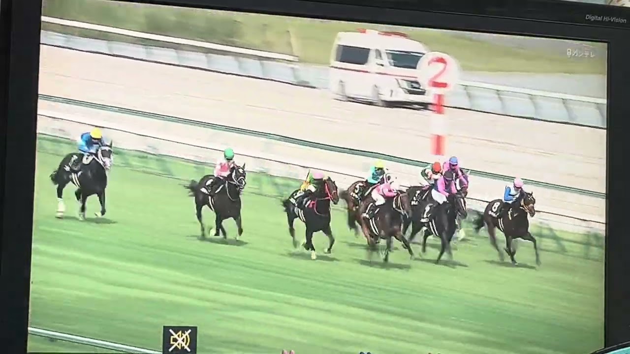 【競馬実況動画2025】長篠S ワンダーキサラ (太宰啓介)