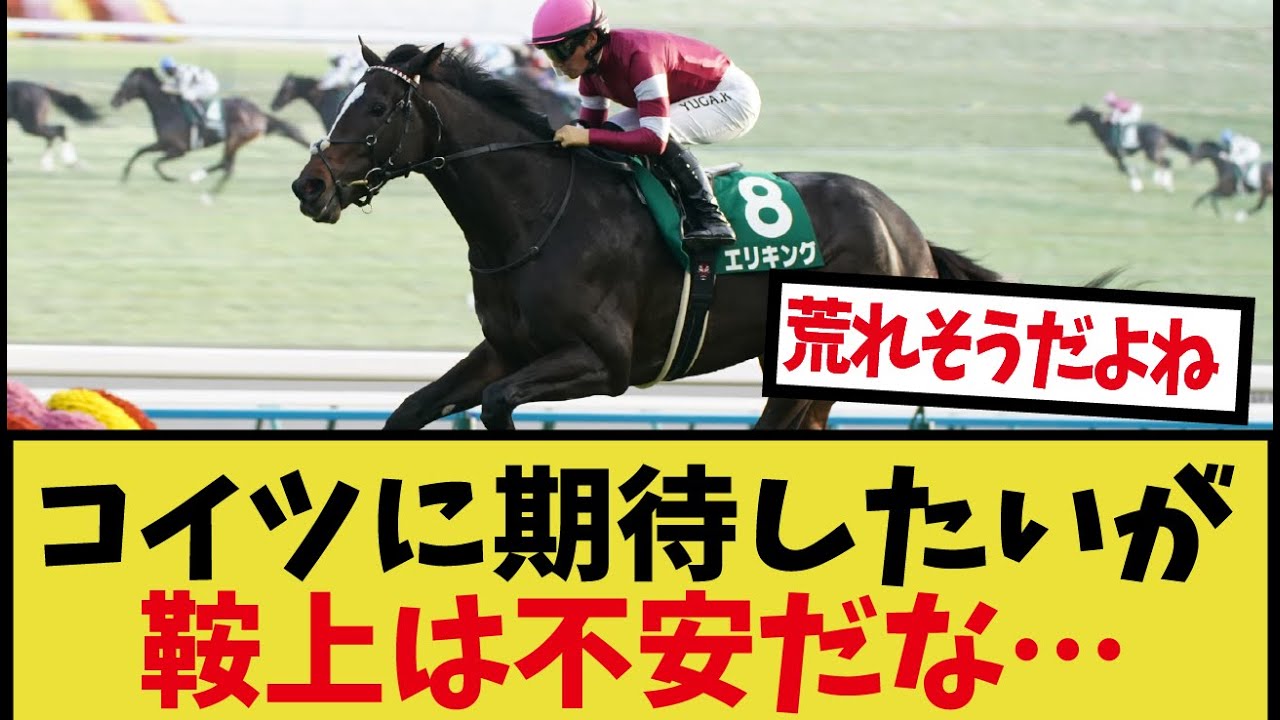「現状、菊花賞に近そうな馬は…」に対するみんなの反応集